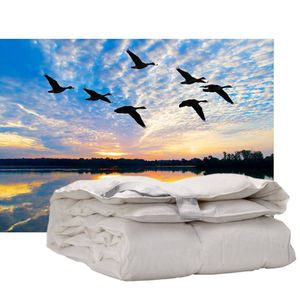 iSleep enkel dekbed 100% dons - warmteklasse 2 - 1-Persoons 140x220 cm