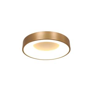 Steinhauer Led plafondlampRinglede Ø 30cm - 3086GO
