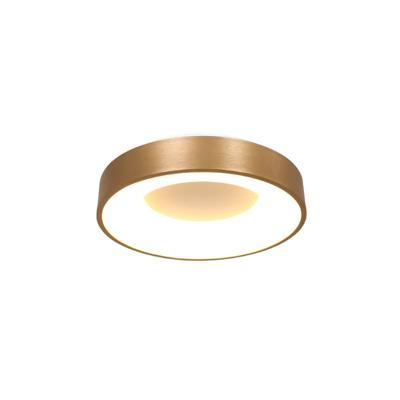 Steinhauer Led plafondlampRinglede Ø 30cm - 3086GO