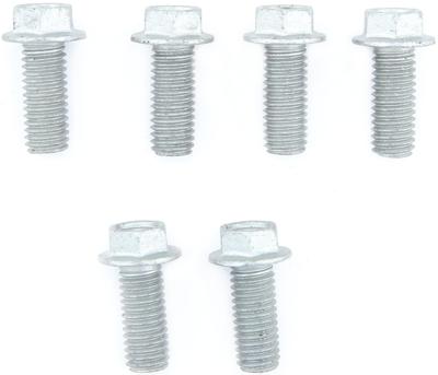 TRW bouten set screw set 6pcs. m8x1,25