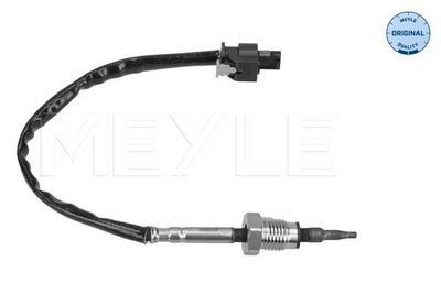 Sensor, uitlaatgastemperatuur 2148000071