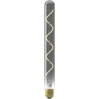 Leen Bakker - LED Buislamp T32x300 Dimbaar Titanium E27 4W - Glas - Grijs
