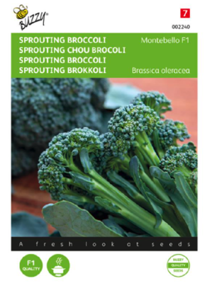 Zaden sprouting broccoli montobello f1 20 zaden - Buzzy