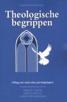 Zakwoordenboek theologische begrippen (Paperback)