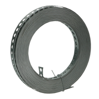 pgb-Europe FG | Gaatjesband recht 10m 17x0,8 Zn | 10 st FG017200117085