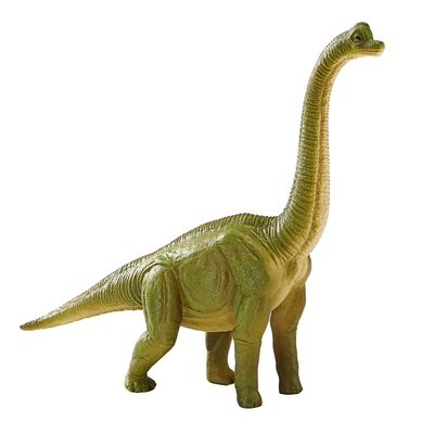 Mojo prehistorie brachiosaurus 387212
