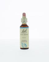 Bach Rock water/bronwater