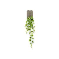 Emerald - Hoya kerrii vine 90 cm kunstplant - thumbnail