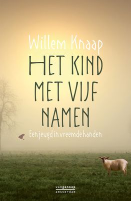 Het kind met vijf namen - Willem Knaap - ebook