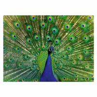 Ravensburger Legpuzzel colorful animals pauw, 500st.
