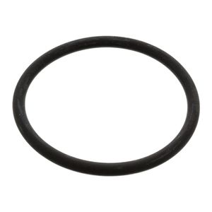 O-ring 17966