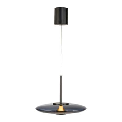 Paul Neuhaus HanglampPure E-Vitrum design grijs - 2084-15