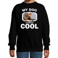 Duitse herder honden trui / sweater my dog is serious cool zwart voor kinderen - thumbnail