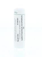 Homeoden Heel Sarothamnus scoparius D6 6 Gram