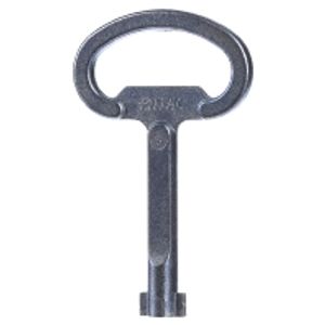 SZ 2531.000  - Double bit key for enclosure SZ 2531.000