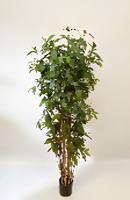 Dracaena surculosa 180 cm kunstplant Oosterik Home - Oosterik home