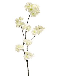 Prunus malaga spray wit 84cm