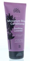 Tune in soothing lavender conditioner - thumbnail