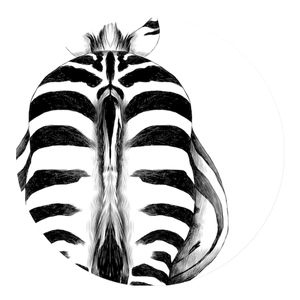 Muurcirkel Backside Zebra Zelfklevend Behang 80 Geen