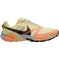 Nike Terra Kiger 10 Heren