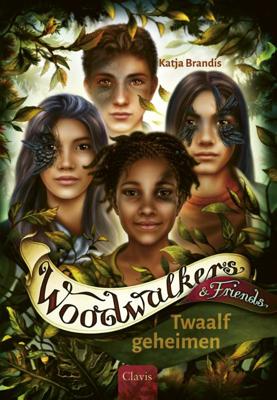 Twaalf geheimen (Hardback)