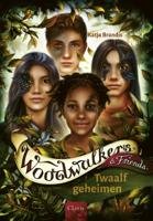 Twaalf geheimen (Hardback)