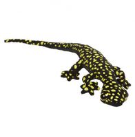 Pluche gekko zwart met geel 62 cm   -