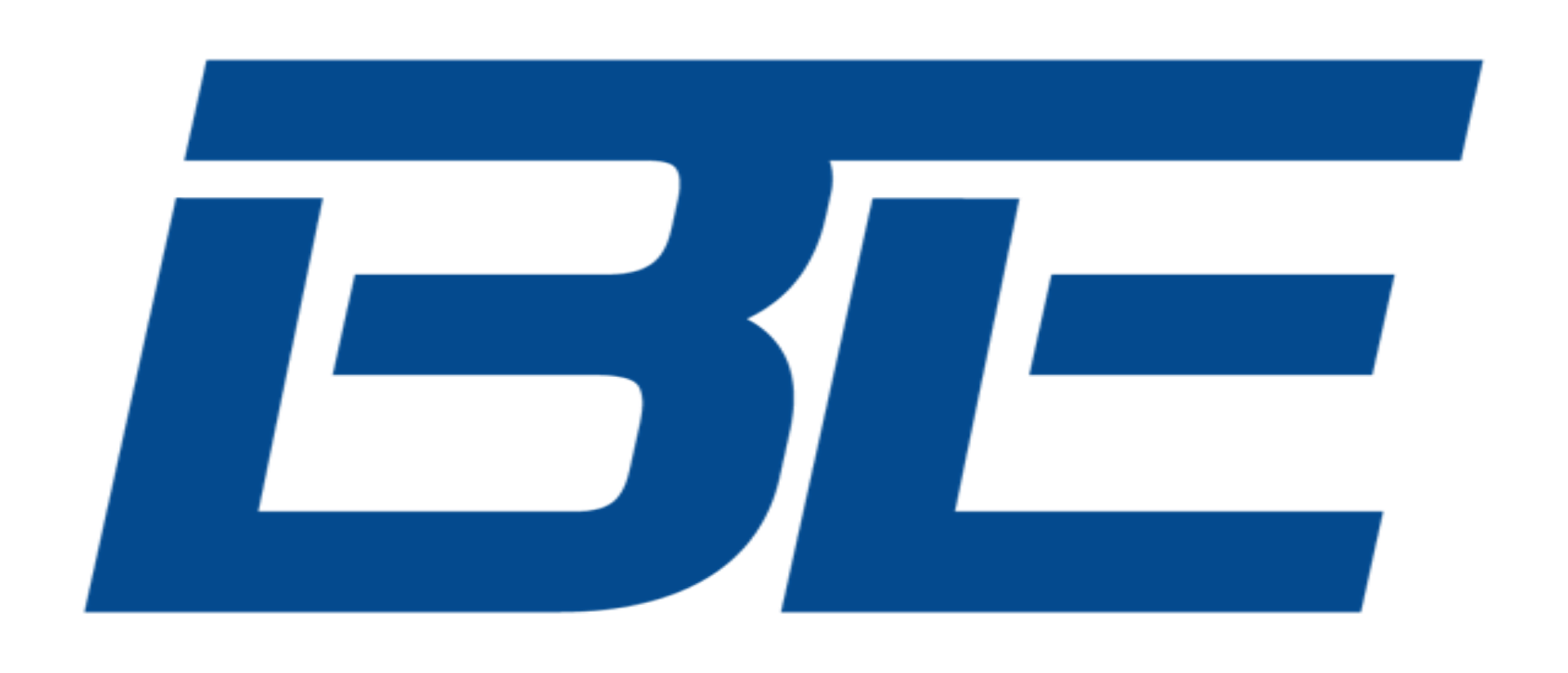 bimmerelite.nl's logo