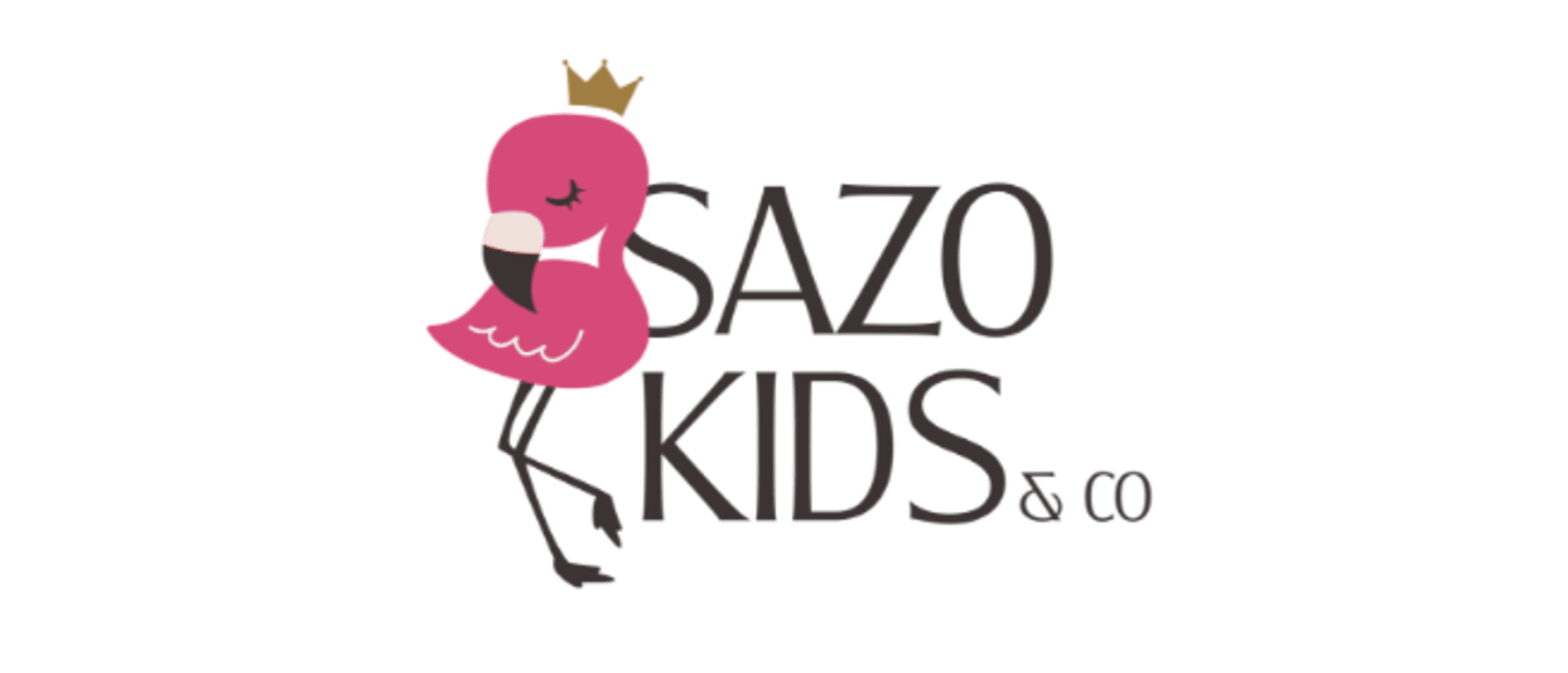 Sazokidsenco.nl's logo