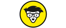 Dummies.nl's logo