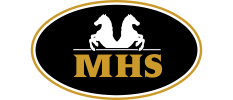Minihorseshop.nl's logo Minihorseshop.nl's logo