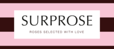 Surprose.nl's logo Surprose.nl's logo